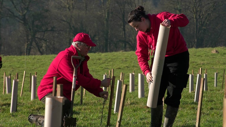 Two people, one holding a tree while the other places a guard around it.
